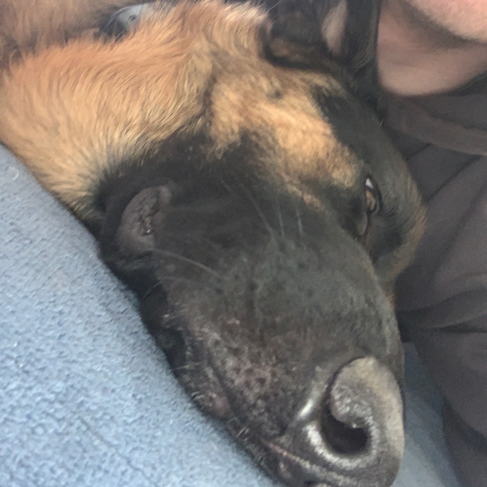 Meet your Posher, Jason